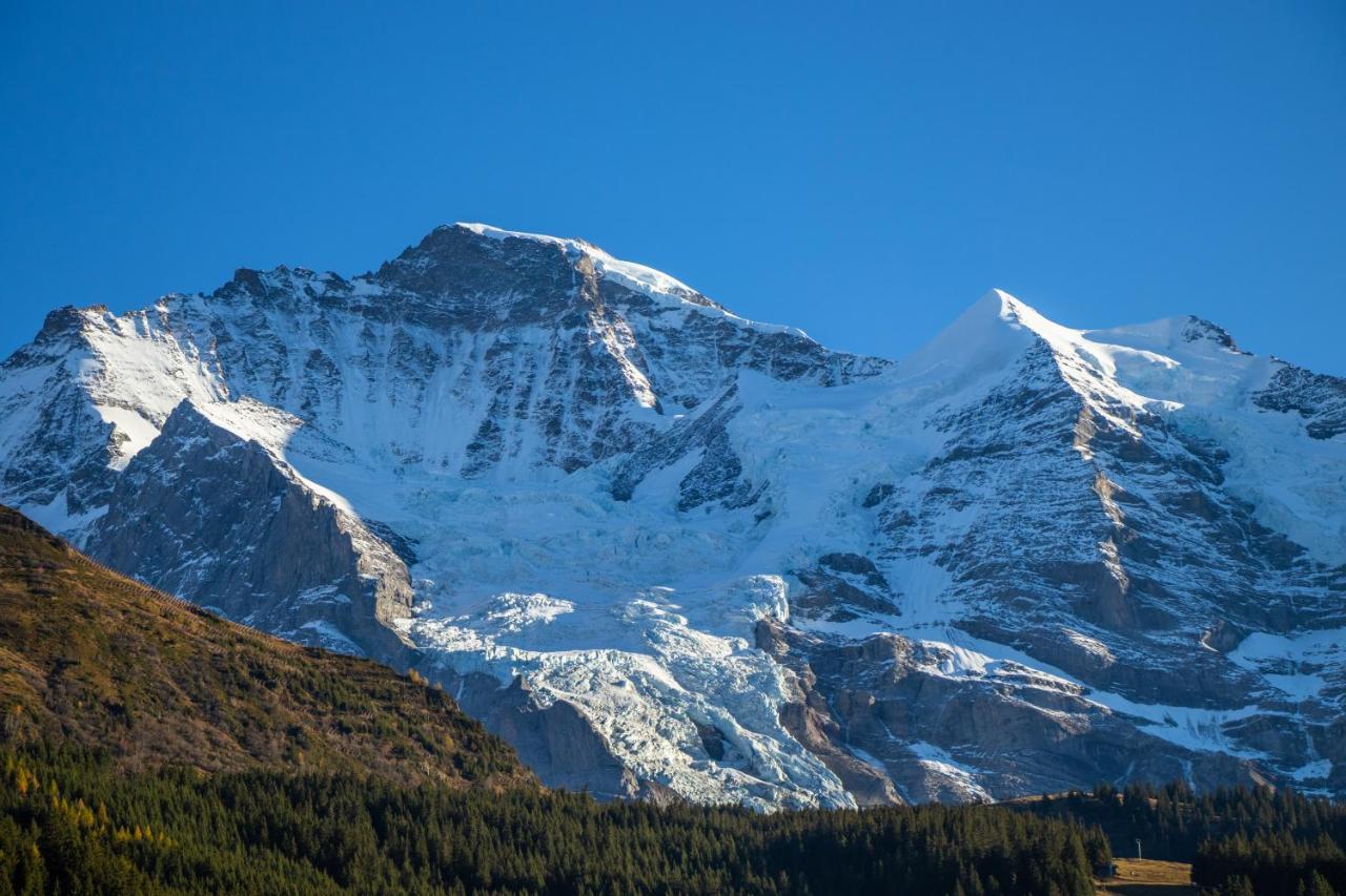 Chalet Aargovia Wengen Eksteriør bilde