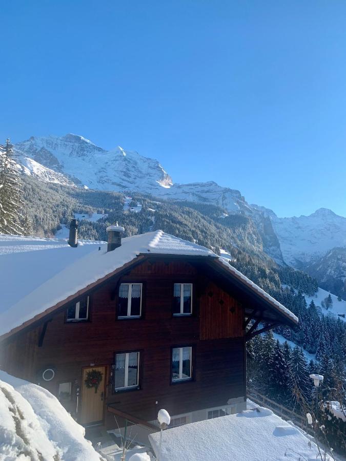 Chalet Aargovia Wengen Eksteriør bilde